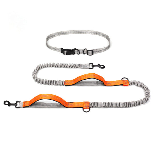 Elastische Hundeleine für Jogging & Outdoor – Stoßdämpfende Laufleine, verstellbar & komfortabel