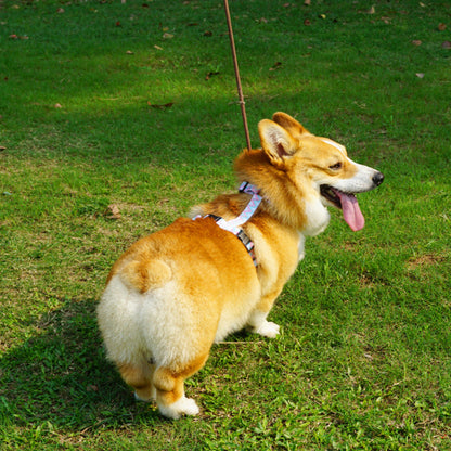 🐶 Reflektierendes Hundegeschirr mit Leine – Verstellbar & Sicher