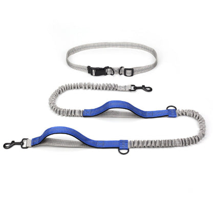 Elastische Hundeleine für Jogging & Outdoor – Stoßdämpfende Laufleine, verstellbar & komfortabel