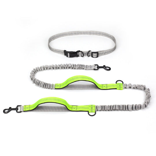 Elastische Hundeleine für Jogging & Outdoor – Stoßdämpfende Laufleine, verstellbar & komfortabel