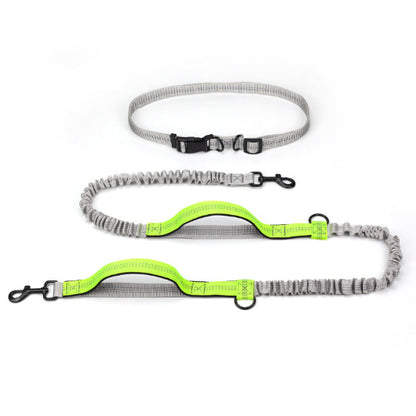 Elastische Hundeleine für Jogging & Outdoor – Stoßdämpfende Laufleine, verstellbar & komfortabel