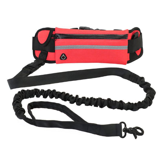 Hunde Bauchtasche mit Leine – Freihändig Joggen & Spazieren, Verstellbar