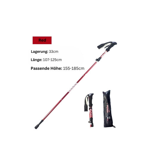 Wanderstock- Der Ast mit Klasse