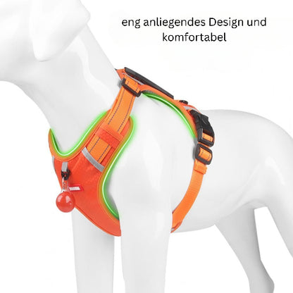 SicherPfote – Hundegeschirr