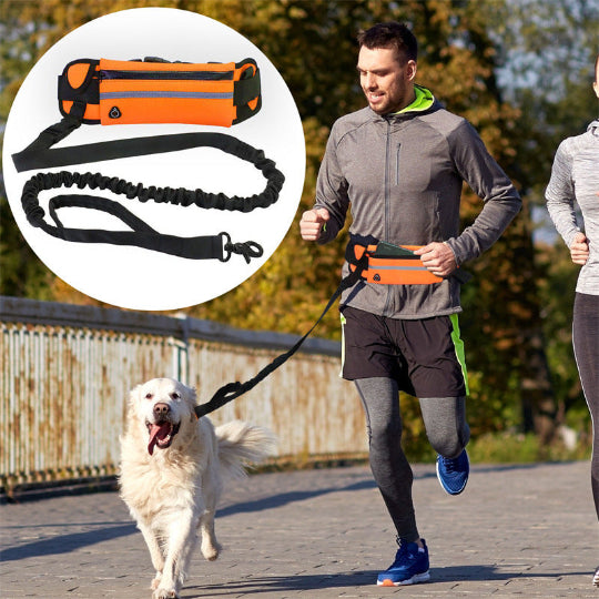 Hunde Bauchtasche mit Leine – Freihändig Joggen & Spazieren, Verstellbar