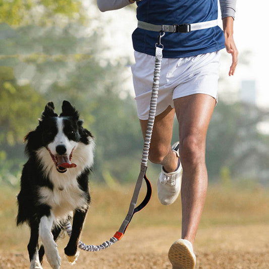 Elastische Hundeleine für Jogging & Outdoor – Stoßdämpfende Laufleine, verstellbar & komfortabel